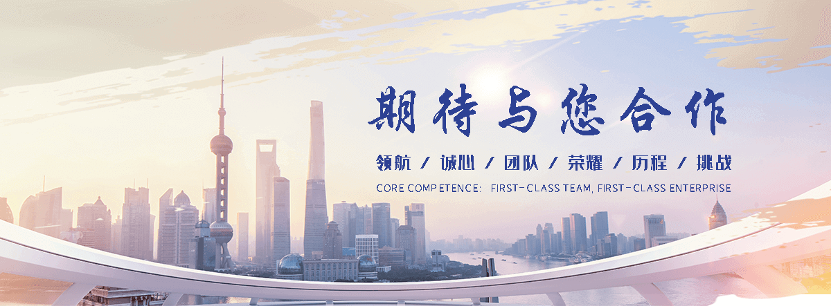 崇左海狮租赁公司
